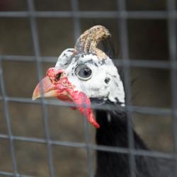 Фото Отель Лунежские горы