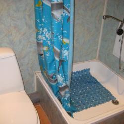 Фото Отель Домашняя