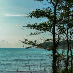 Фото Отель Гостевой дом АмиКо Club