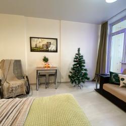 1-комнатные апартаменты студия