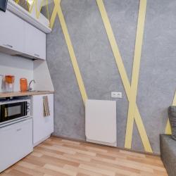 Апартаменты студия с 1 двуспальной кроватью и диваном