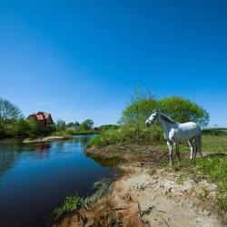Фото Отель Малиновая слобода