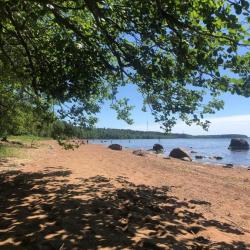 Фото Отель На берегу Финского залива