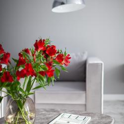 Фото Апартаменты VisitNovorossiysk (Визит) на набережной Адмирала Серебрякова