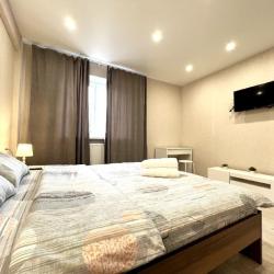 1-комнатные апартаменты люкс Пухова 56-41