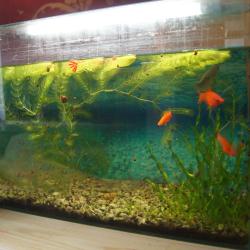 Фото Хостел на Желябова