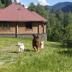 Коттедж Нижний