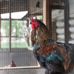 Фото Отель Лунежские горы