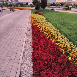 Фото Апартаменты на бульваре ий 19