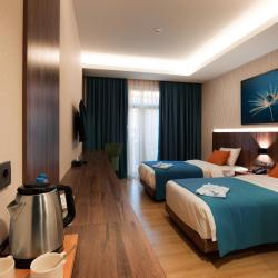 Фото Отель Wellness Hotel and Spa (Велнесс)