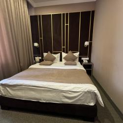 Фото Отель Aragats Hotel (Арагац)