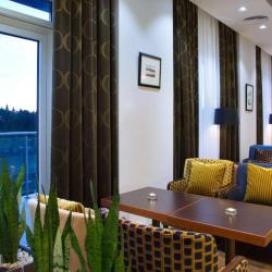 Hills Garden (ex. Hilton Garden Inn Ufa Riverside) (Хилтон Гарден, бывший Хилтон Гарден Инн Уфа Риверсайд)  — d207d75434784615bb86153afc19584e