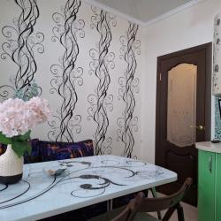 Фото Отель Runway Apartments на улица Курыжова 23