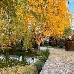 Фото Отель Пилот
