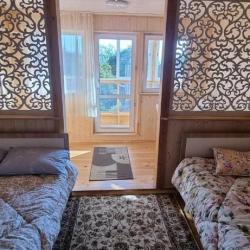 Фото Отель Ёлочка