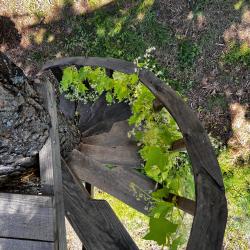 Фото Отель Дом на Автомобилистов