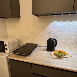 Фото Отель Квартира на улице Краснолесья 100\4