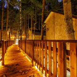 Фото Отель Ой-Карагай Лесная Сказка (Oi-Qaragai)