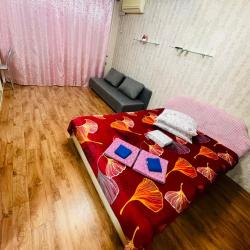 Фото Апартаменты на улице Владивостокская 53