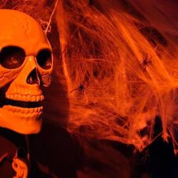 Фото Отель Scary Hostel (Скари)