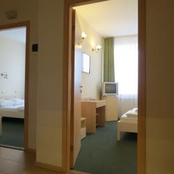 1-местный номер эконом