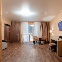 Номер полулюкс с 1 двуспальной кроватью