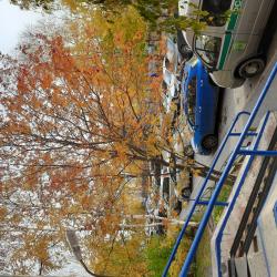 Фото Апартаменты на проспекте Мира 26А