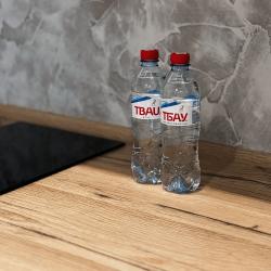 4-местный номер делюкс с 1 двуспальной кроватью