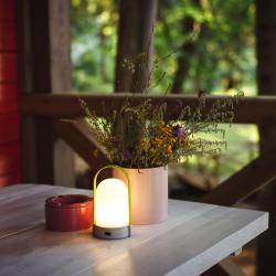 Фото Отель Зобовские дачи