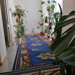 Фото Отель Эмдер