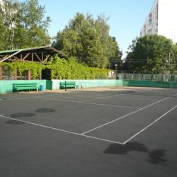 фото 4 Паллада РАН