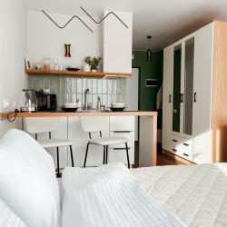 1-комнатные апартаменты студия №1