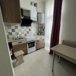 Фото Апартаменты Pluton Aparts в СНТ Агро