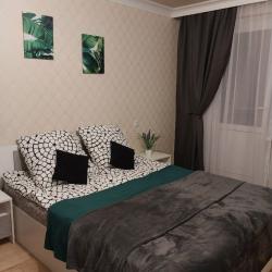 Фото Апартаменты на улице Жмакина 58