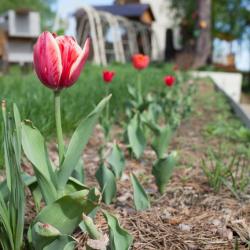 Фото Отель Акватория