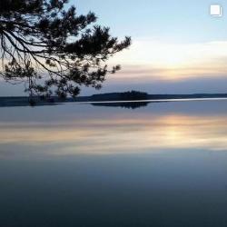 Фото Эко-отель Лес