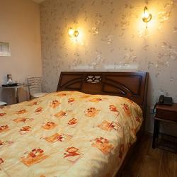 Номер стандарт с 1 двуспальной кроватью