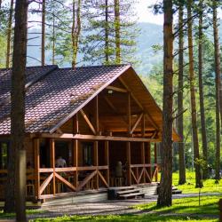 Фото Алтай-парк-отель Подгорица