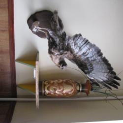 Фото Отель Зона отдыха