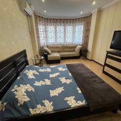 Апартаменты на улице Климова — d2bf0cc508248c8e204ec7845e855d52