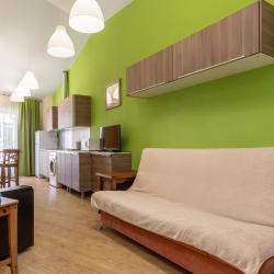 1-комнатные апартаменты люкс с 1 двуспальной кроватью