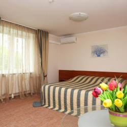 Номер люкс с 1 двуспальной кроватью