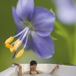 Фото Отель Алтайский замок