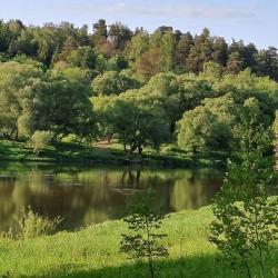Фото Отель Домики на Луговом