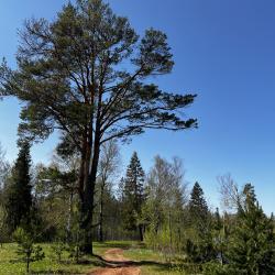 Фото Отель Biathlon Village (Биатлон Вилладж)