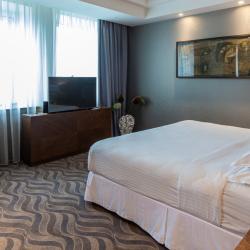 SHERATONPLAZA Ufa Congress Hotel (Шератон Плаза Уфа Конгресс) (бывш. Краун Плаза Уфа Конгресс) — d31d6b5d491ebf050058f14a754a5c05