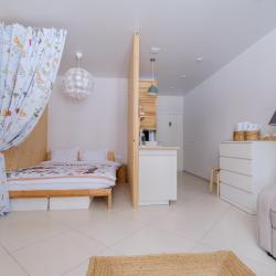 2-местные 1-комнатные апартаменты студия