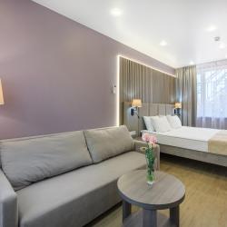 Номер делюкс комфорт