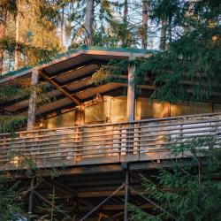 Дачи 2-3 линии