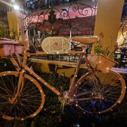 Фото Отель Камела